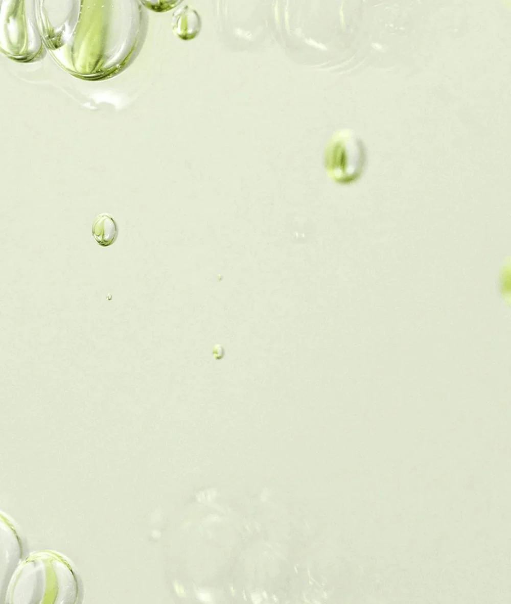 Beauty of Joseon Calming Serum Green Tea + Panthenol 30ml - Image 3