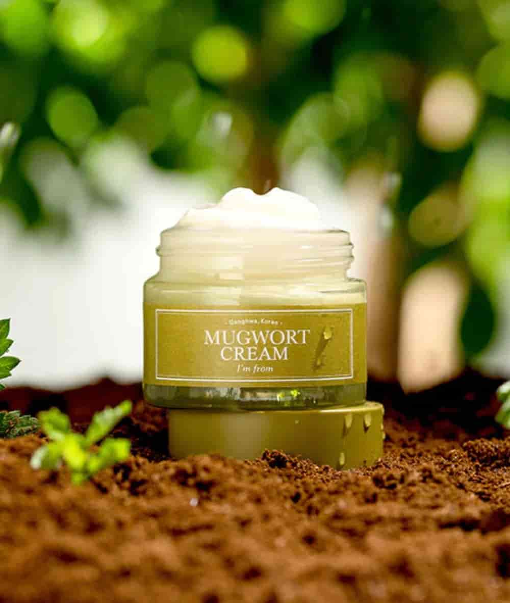 IMFROM Mugwort Cream 50g - Image 4